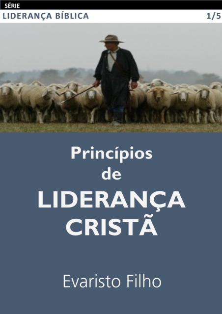 Principios de Lideranca Crista
