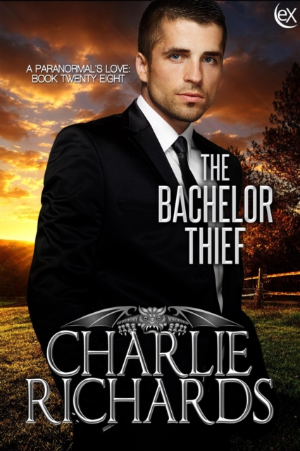 Bachelor Thief