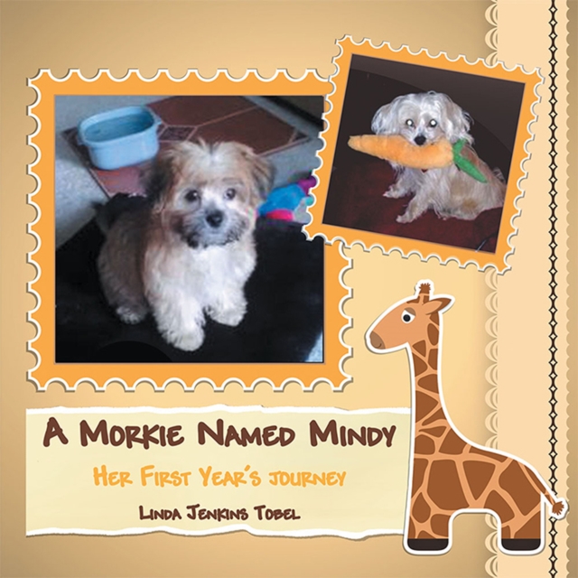 Morkie Named Mindy