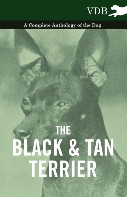 Black and Tan Terrier - A Complete Anthology of the Dog -