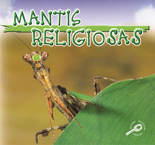 Mantis Religiosas