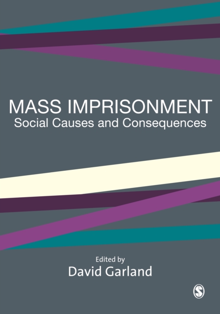 Mass Imprisonment