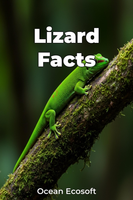 Lizard Facts