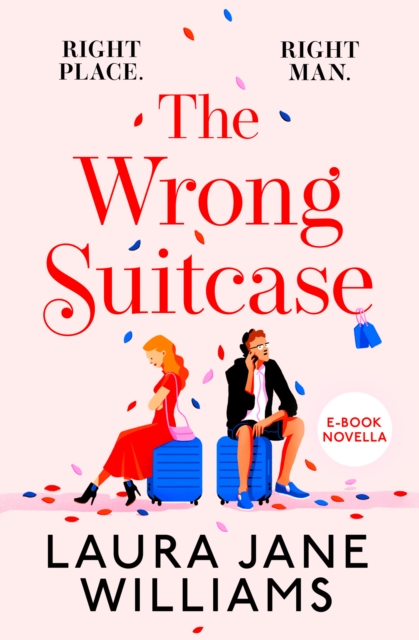 Wrong Suitcase