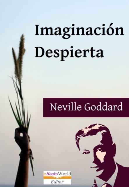 Imaginacion Despierta