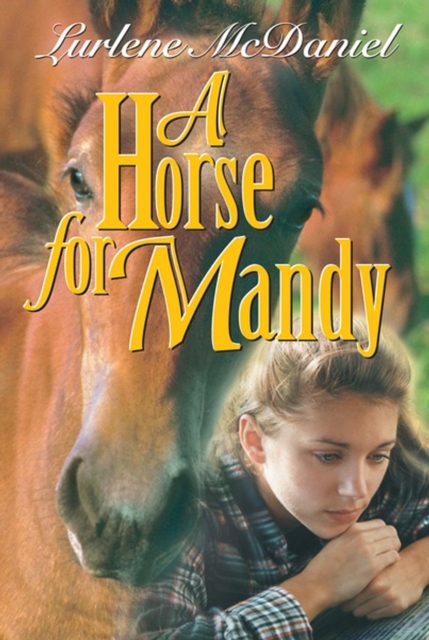 Horse for Mandy