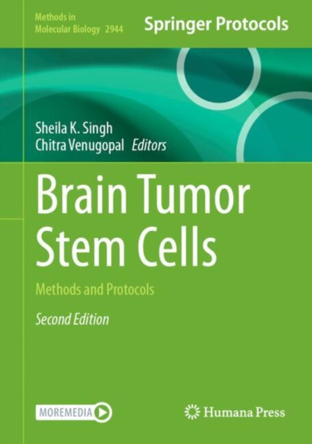 Brain Tumor Stem Cells