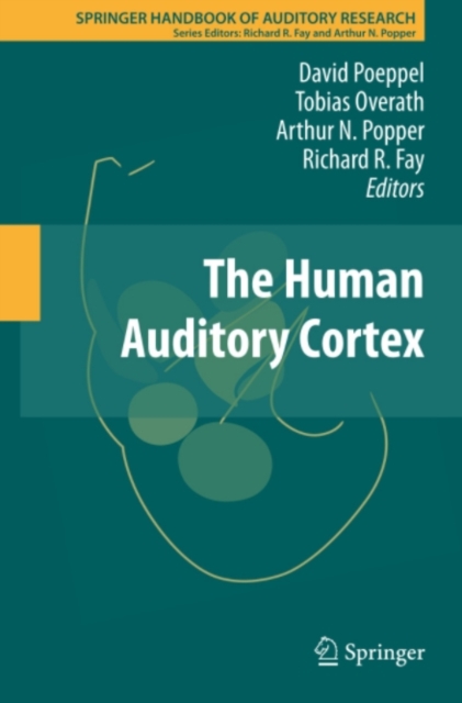 Human Auditory Cortex