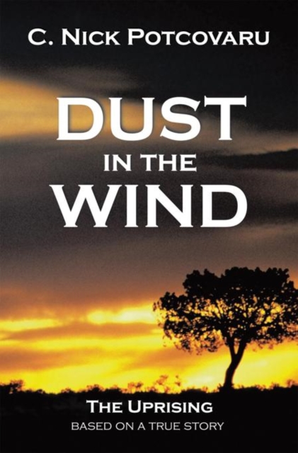 Dust in the Wind