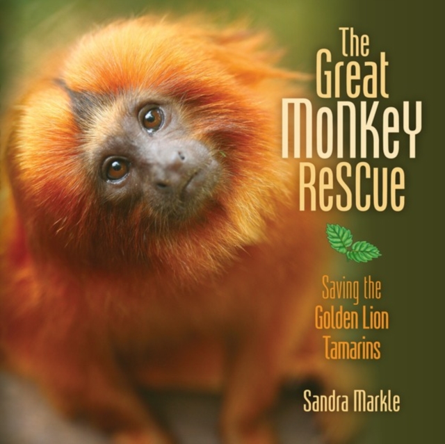 Great Monkey Rescue
