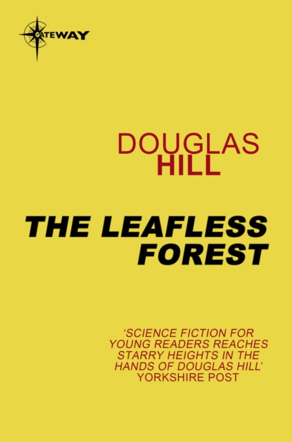 Leafless Forest