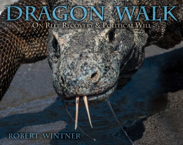 Dragon Walk
