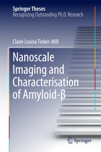 Nanoscale Imaging and Characterisation of Amyloid-