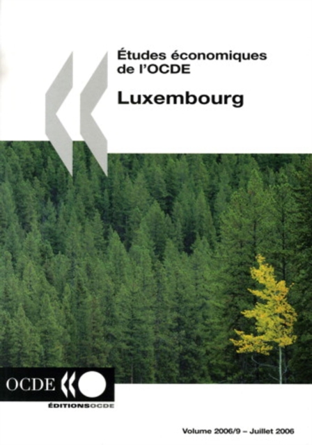 Etudes economiques de l'OCDE : Luxembourg 2006