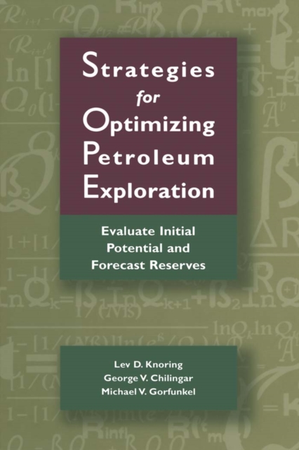 Strategies for Optimizing Petroleum Exploration: