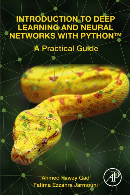 Introduction to Deep Learning and Neural Networks with Python(TM)