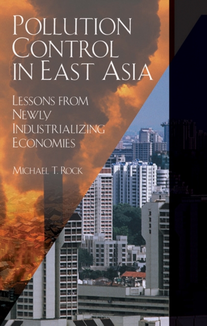 Pollution Control in East Asia