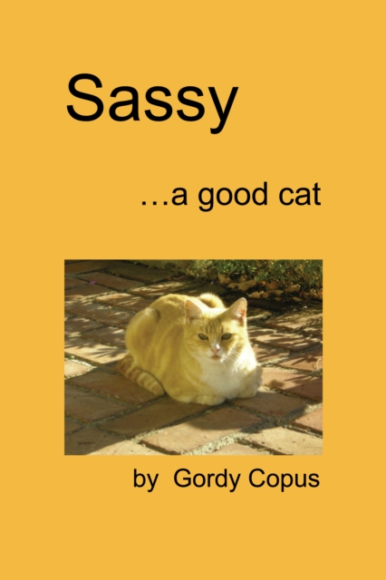 Sassy, a good cat
