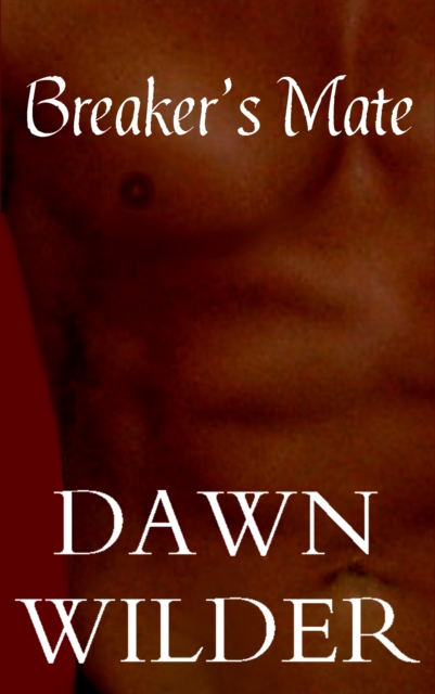 Breaker's Mate (Gay Erotic Romance Short)