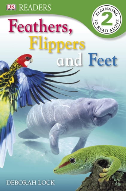 Feathers, Flippers, Feet
