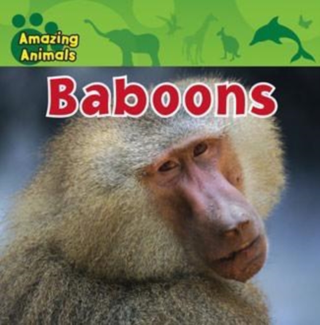 Baboons