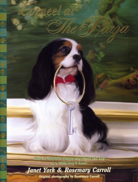 Corneel at The Plaza