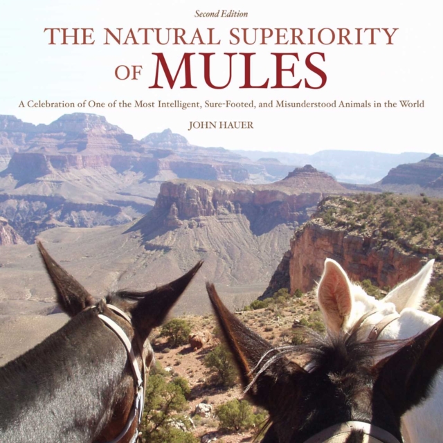 Natural Superiority of Mules
