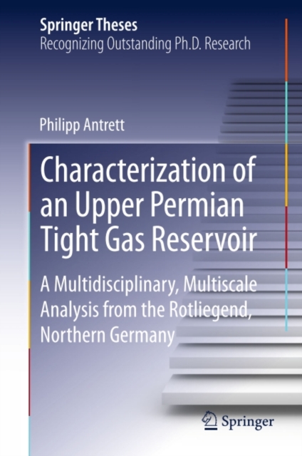 Characterization of an Upper Permian Tight Gas Reservoir