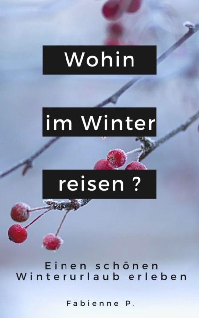 Wohin im Winter reisen ?