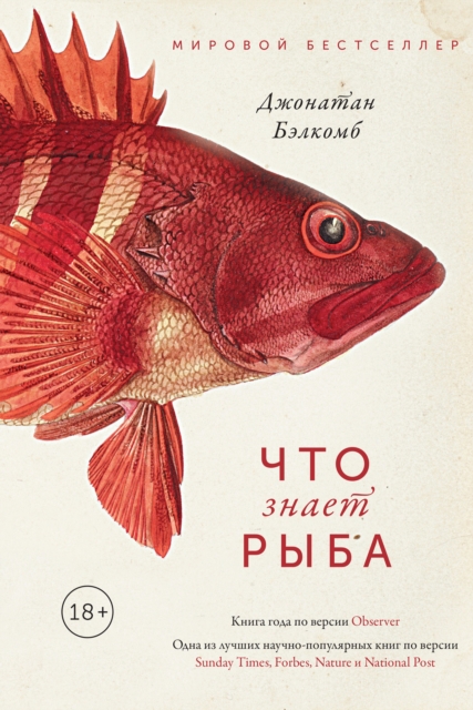 WHAT A FISH KNOWS The Inner Lives of Our Underwater Cousins