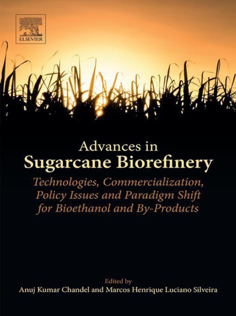 Advances in Sugarcane Biorefinery