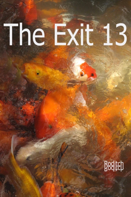 Exit 13