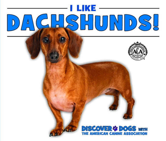 I Like Dachshunds!