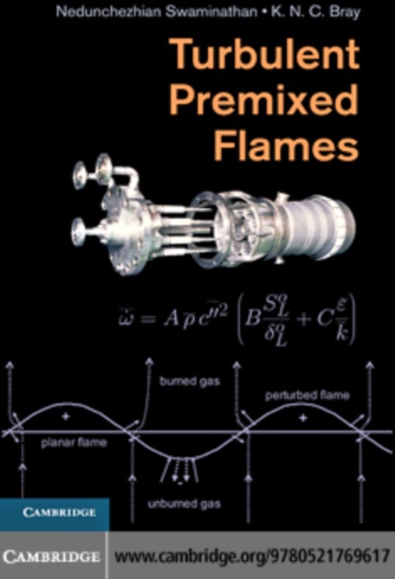 Turbulent Premixed Flames