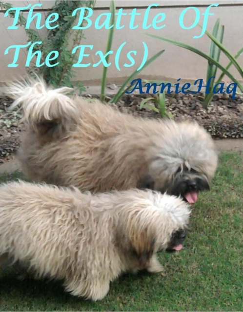 Battle Of The Ex(s)- A tale of confusion