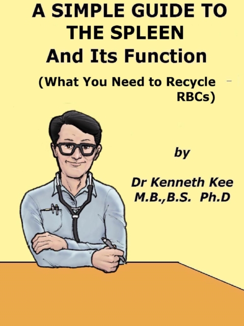Simple Guide to The Spleen And Its Function (What You Need To Recycle RBCs)