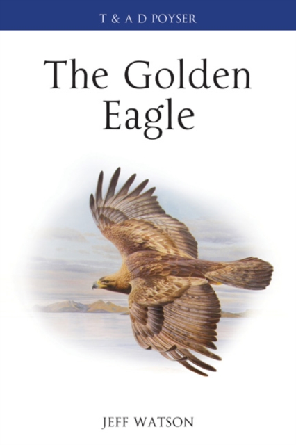 Golden Eagle