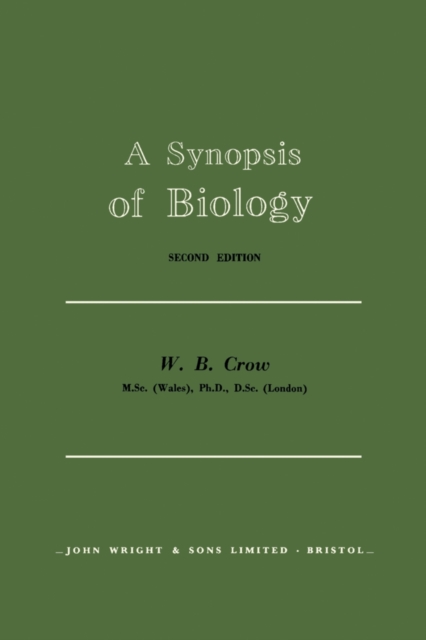 Identification, Equivalent Models, and Computer Algebra
