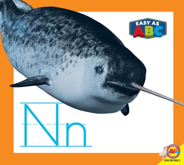 Nn