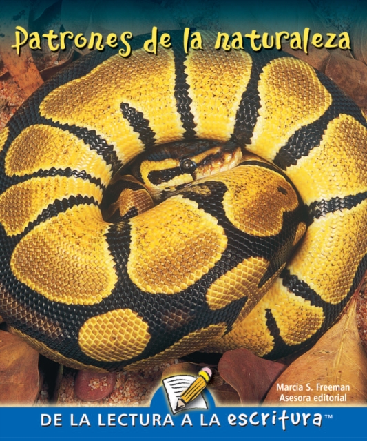 Patrones de la naturaleza