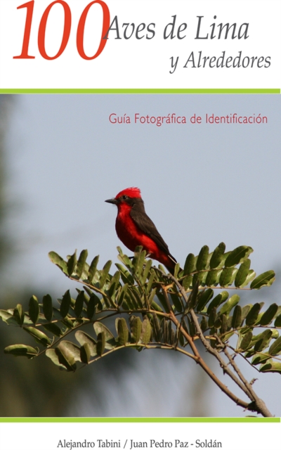 100 Aves de Lima y Alrededores