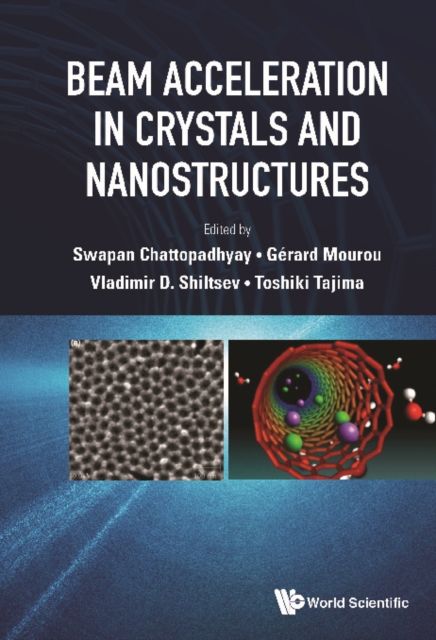 Beam Acceleration In Crystals And Nanostructures - Proceedings Of The Workshop