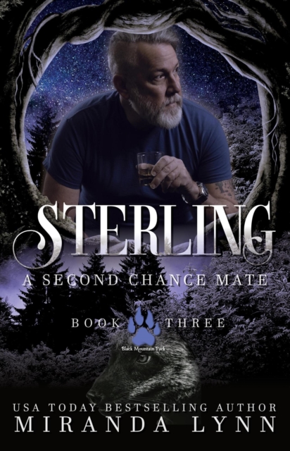 Sterling: A Second Chance Mate