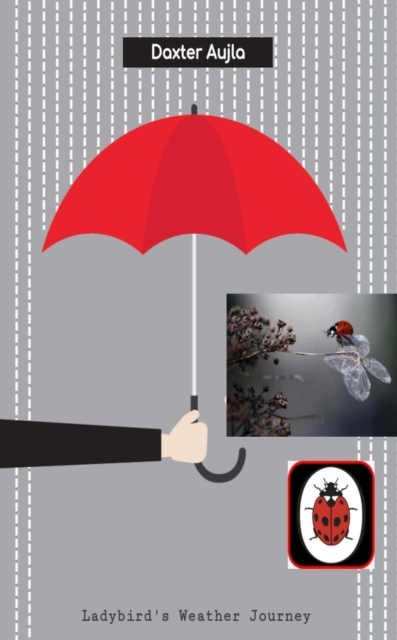 Ladybird's Weather Journey