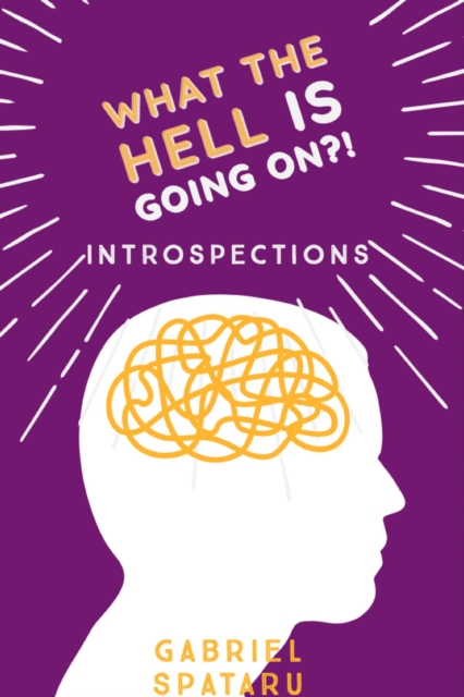 Introspections - What the Hell Is Going On?!