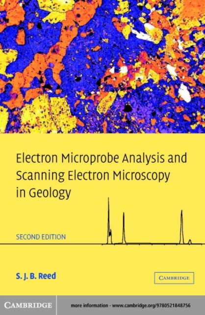Electron Microprobe Analysis and Scanning Electron Microscopy in Geology