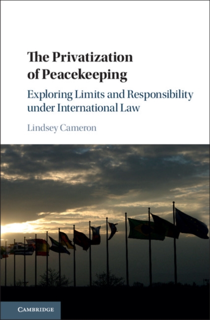Privatization of Peacekeeping