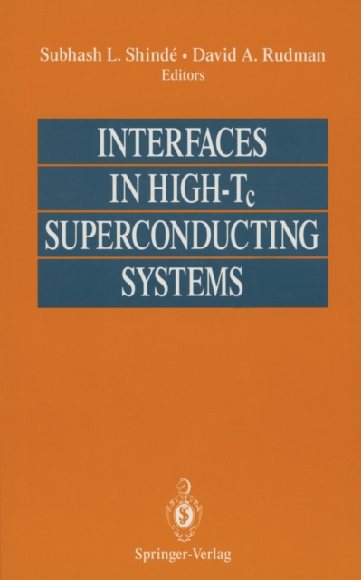 Interfaces in High-Tc Superconducting Systems