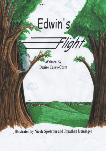 Edwin's Flight