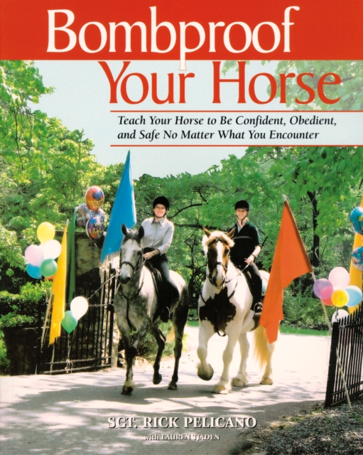 Horses in Translation